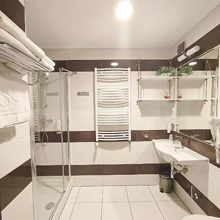 千禧酒店 3* 莱格尼察