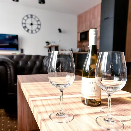 千禧酒店 酒店 莱格尼察