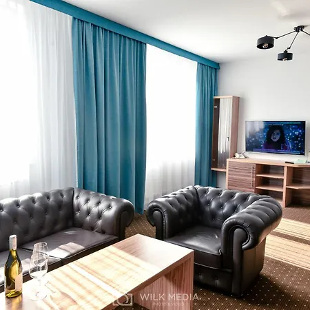 酒店 千禧酒店 莱格尼察