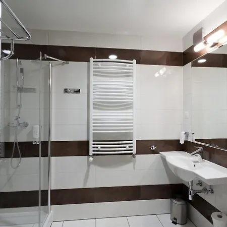 酒店 千禧酒店 莱格尼察